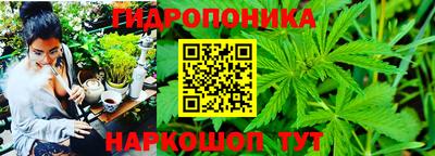 трава Краснокаменск