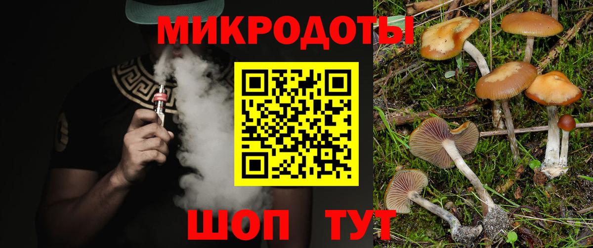 Галлюциногенные грибы Psilocybe Вышний Волочёк